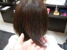 おっちゃんのなにげない日々