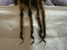 おっちゃんのなにげない日々