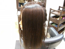 おっちゃんのなにげない日々