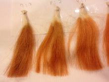 尼崎市美容室 GRADO・オーナーの美容奮闘ブログ