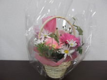 尼崎市　JR尼崎　美容室　グラードのブログ