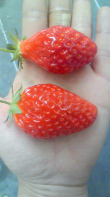 尼崎市美容室　GRADO・オーナーの美容奮闘ブログ