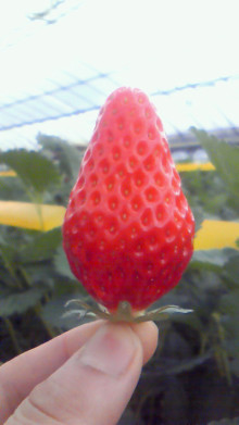 尼崎市美容室　GRADO・オーナーの美容奮闘ブログ