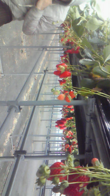 尼崎市美容室　GRADO・オーナーの美容奮闘ブログ