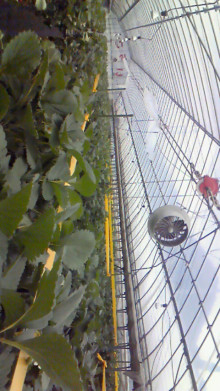 尼崎市美容室　GRADO・オーナーの美容奮闘ブログ