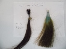 尼崎市美容室　GRADO・オーナーの美容奮闘ブログ