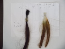 尼崎市美容室　GRADO・オーナーの美容奮闘ブログ