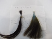 尼崎市美容室　GRADO・オーナーの美容奮闘ブログ