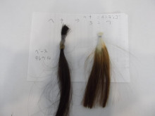 尼崎市美容室　GRADO・オーナーの美容奮闘ブログ