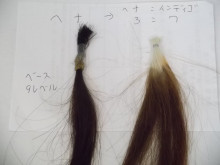 尼崎市美容室　GRADO・オーナーの美容奮闘ブログ