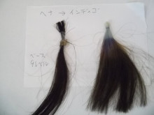 尼崎市美容室　GRADO・オーナーの美容奮闘ブログ