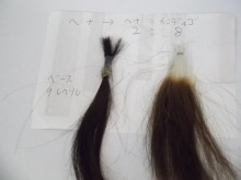 尼崎市美容室　GRADO・オーナーの美容奮闘ブログ