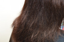 尼崎市美容室　GRADO・オーナーの美容奮闘ブログ