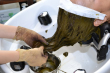 尼崎市美容室　GRADO・オーナーの美容奮闘ブログ