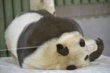 尼崎市美容室　GRADO・オーナーの美容奮闘ブログ