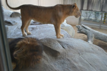 尼崎市美容室　GRADO・オーナーの美容奮闘ブログ