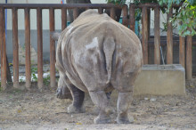 尼崎市美容室　GRADO・オーナーの美容奮闘ブログ