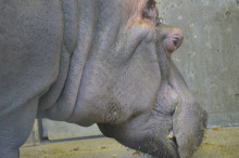 尼崎市美容室　GRADO・オーナーの美容奮闘ブログ