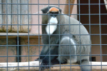 尼崎市美容室　GRADO・オーナーの美容奮闘ブログ