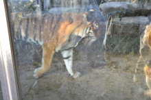 尼崎市美容室　GRADO・オーナーの美容奮闘ブログ