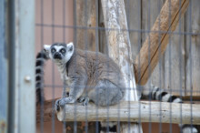 尼崎市美容室　GRADO・オーナーの美容奮闘ブログ