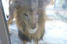 尼崎市美容室　GRADO・オーナーの美容奮闘ブログ